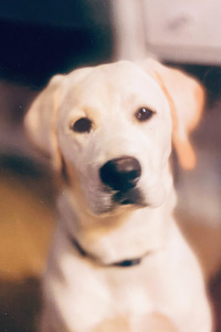 Oliver Oliver